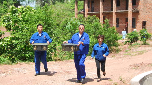 精准扶贫再送鸡苗
