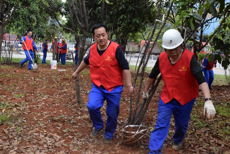 钢城四月春意浓 安博登录网页版青年植树忙