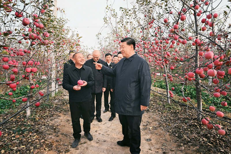 1678955874511323.jpg 农业强国02.jpg